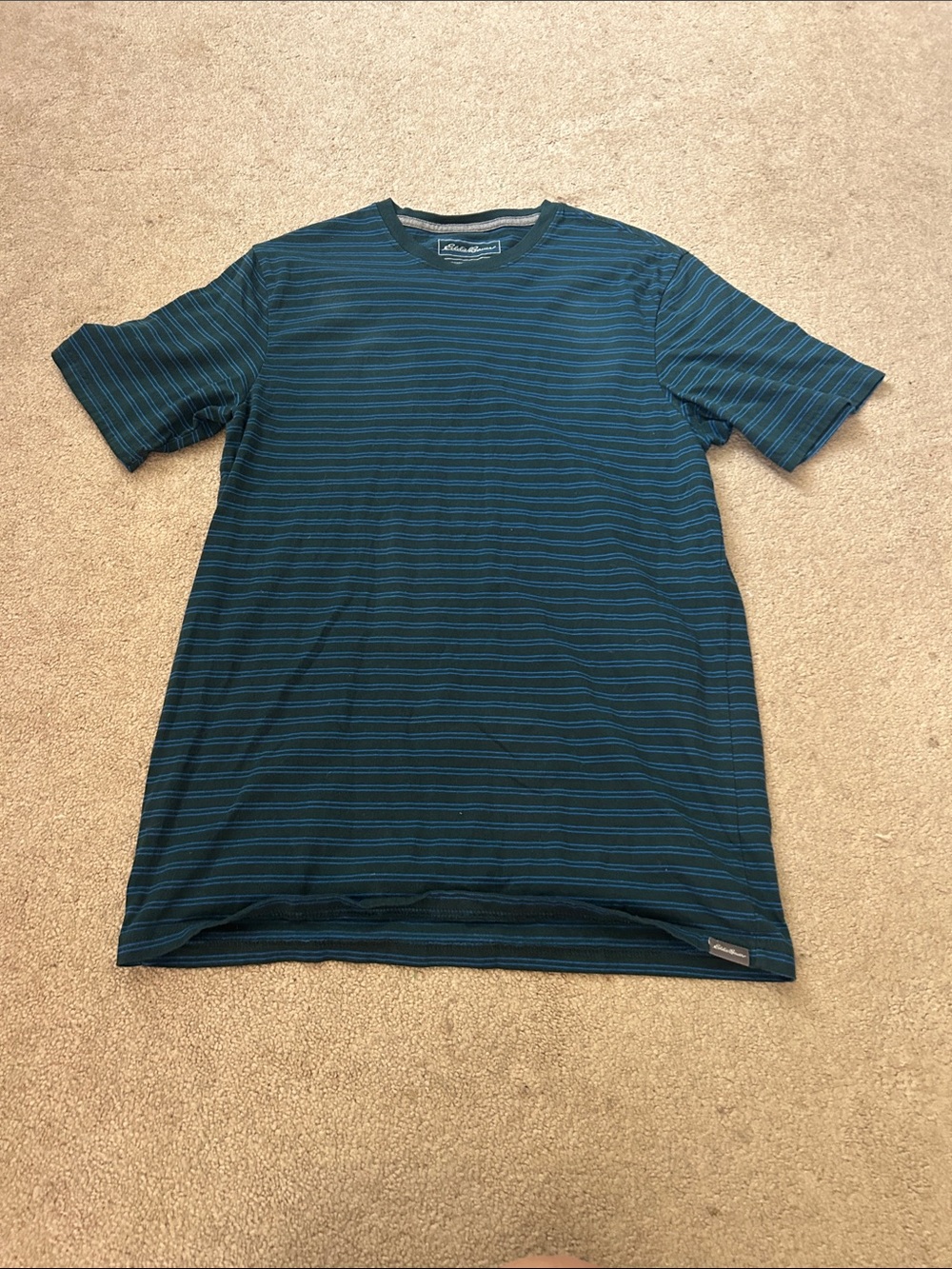Eddie Bauer Men’s Short Sleeve Striped Tee - Teal and Black